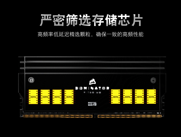 DDR5泰坦_08